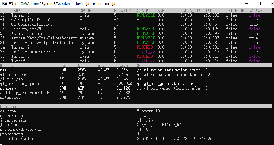 image-20250511161706675